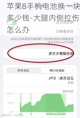苹果8手机电池换一块多少钱-大腿内侧拉伤怎么办