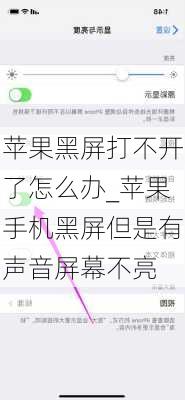 苹果黑屏打不开了怎么办_苹果手机黑屏但是有声音屏幕不亮