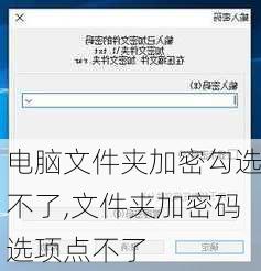 电脑文件夹加密勾选不了,文件夹加密码选项点不了