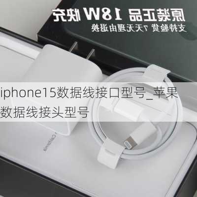 iphone15数据线接口型号_苹果数据线接头型号