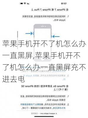 苹果手机开不了机怎么办一直黑屏,苹果手机开不了机怎么办一直黑屏充不进去电