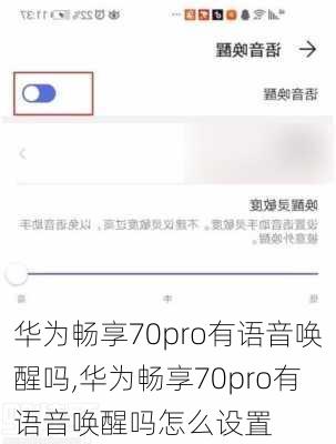 华为畅享70pro有语音唤醒吗,华为畅享70pro有语音唤醒吗怎么设置