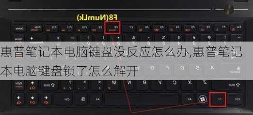 惠普笔记本电脑键盘没反应怎么办,惠普笔记本电脑键盘锁了怎么解开