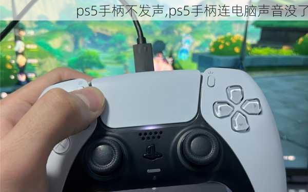 ps5手柄不发声,ps5手柄连电脑声音没了