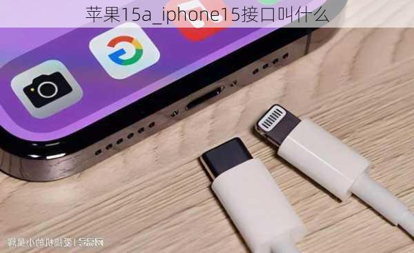 苹果15a_iphone15接口叫什么