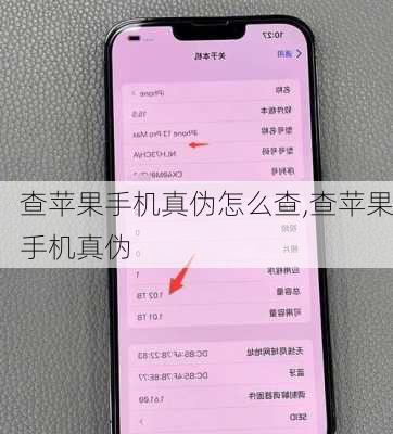 查苹果手机真伪怎么查,查苹果手机真伪