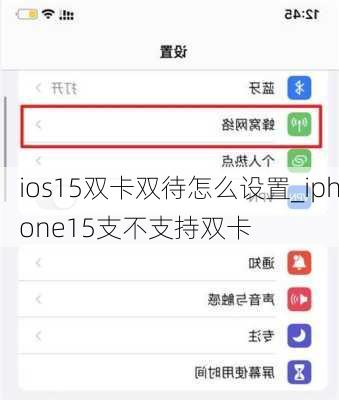 ios15双卡双待怎么设置_iphone15支不支持双卡