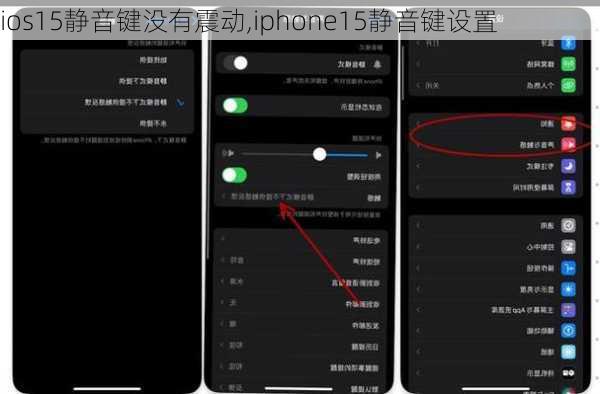 ios15静音键没有震动,iphone15静音键设置