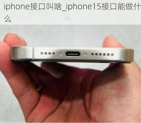 iphone接口叫啥_iphone15接口能做什么