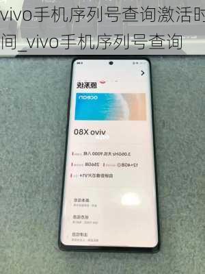 vivo手机序列号查询激活时间_vivo手机序列号查询