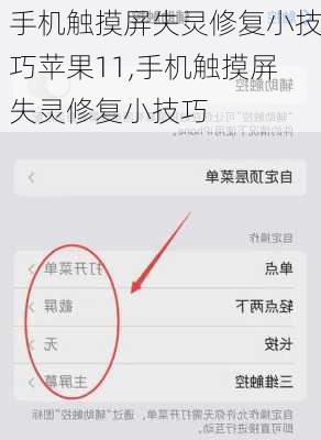 手机触摸屏失灵修复小技巧苹果11,手机触摸屏失灵修复小技巧