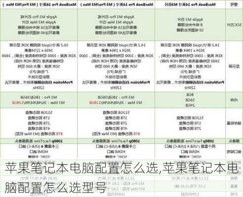 苹果笔记本电脑配置怎么选,苹果笔记本电脑配置怎么选型号