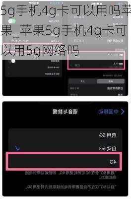 5g手机4g卡可以用吗苹果_苹果5g手机4g卡可以用5g网络吗