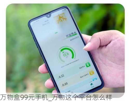 万物盒99元手机_万物这个平台怎么样