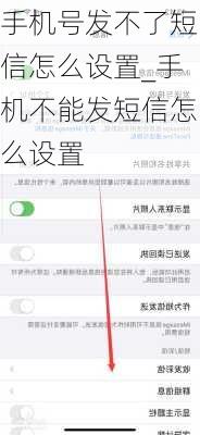 手机号发不了短信怎么设置_手机不能发短信怎么设置
