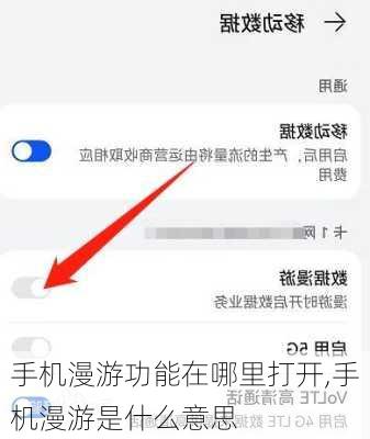 手机漫游功能在哪里打开,手机漫游是什么意思