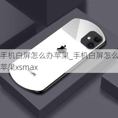 手机白屏怎么办苹果_手机白屏怎么办苹果xsmax