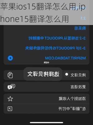 苹果ios15翻译怎么用,iphone15翻译怎么用