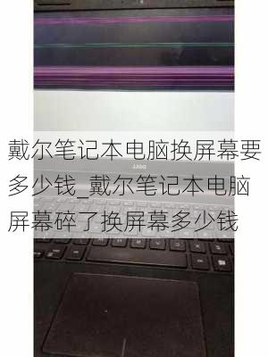 戴尔笔记本电脑换屏幕要多少钱_戴尔笔记本电脑屏幕碎了换屏幕多少钱