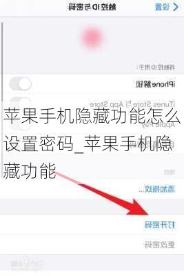 苹果手机隐藏功能怎么设置密码_苹果手机隐藏功能