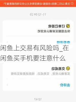 闲鱼上交易有风险吗_在闲鱼买手机要注意什么