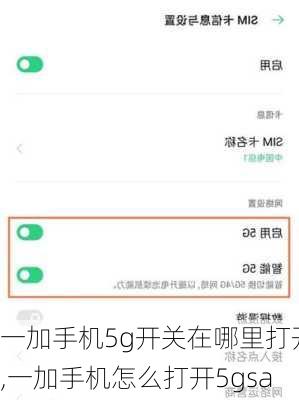 一加手机5g开关在哪里打开,一加手机怎么打开5gsa