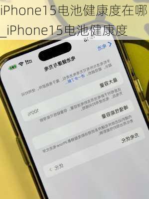 iPhone15电池健康度在哪_iPhone15电池健康度