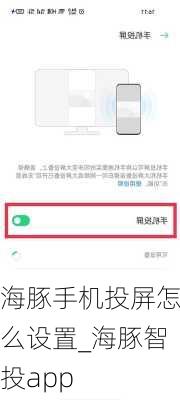 海豚手机投屏怎么设置_海豚智投app