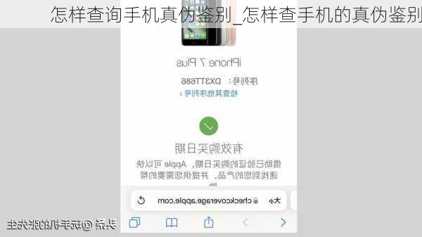 怎样查询手机真伪鉴别_怎样查手机的真伪鉴别