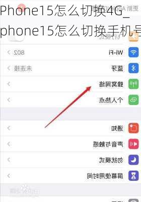 iPhone15怎么切换4G_iphone15怎么切换手机号