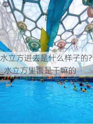 水立方进去是什么样子的?_水立方里面是干嘛的