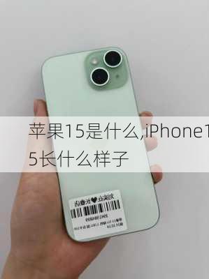 苹果15是什么,iPhone15长什么样子