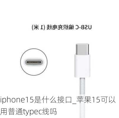 iphone15是什么接口_苹果15可以用普通typec线吗