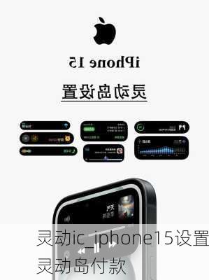 灵动ic_iphone15设置灵动岛付款