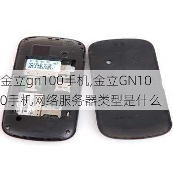 金立gn100手机,金立GN100手机网络服务器类型是什么