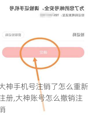大神手机号注销了怎么重新注册,大神账号怎么撤销注销