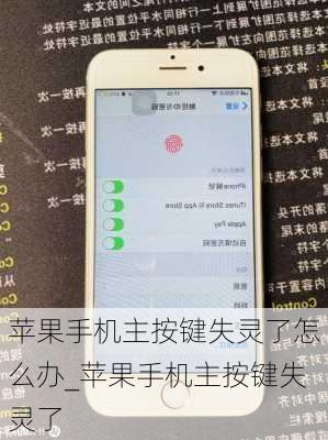 苹果手机主按键失灵了怎么办_苹果手机主按键失灵了