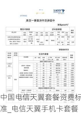 中国电信天翼套餐资费标准_电信天翼手机卡套餐