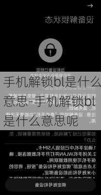 手机解锁bl是什么意思-手机解锁bl是什么意思呢