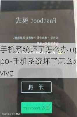 手机系统坏了怎么办 oppo-手机系统坏了怎么办vivo