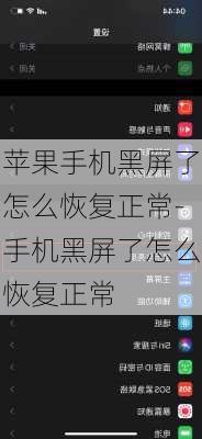 苹果手机黑屏了怎么恢复正常-手机黑屏了怎么恢复正常