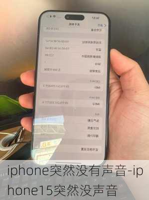 iphone突然没有声音-iphone15突然没声音