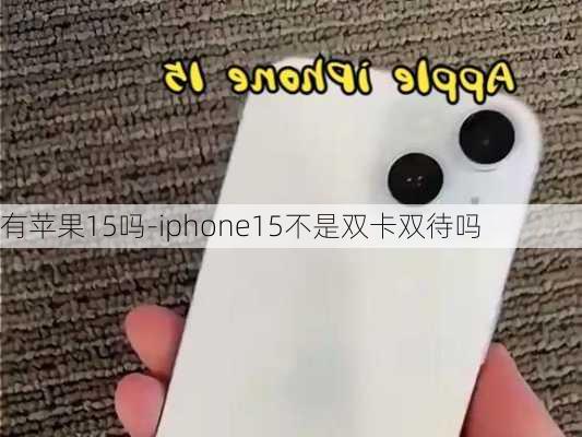 有苹果15吗-iphone15不是双卡双待吗