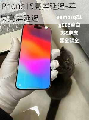 iPhone15亮屏延迟-苹果亮屏延迟