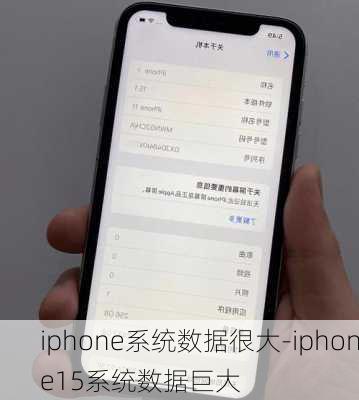 iphone系统数据很大-iphone15系统数据巨大