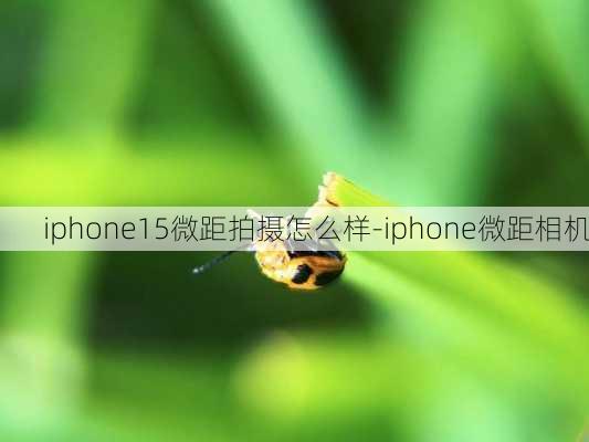 iphone15微距拍摄怎么样-iphone微距相机