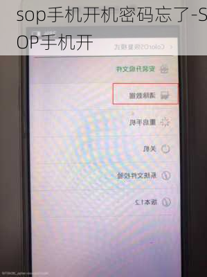 sop手机开机密码忘了-SOP手机开