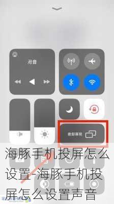 海豚手机投屏怎么设置-海豚手机投屏怎么设置声音