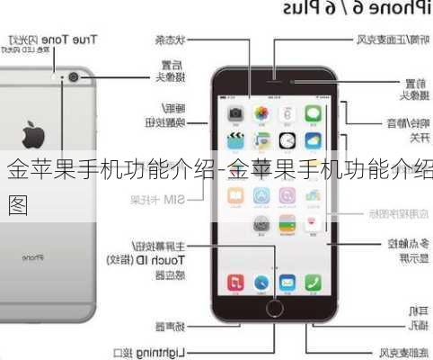 金苹果手机功能介绍-金苹果手机功能介绍图