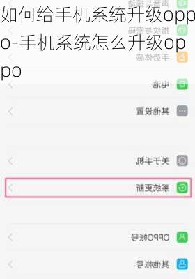 如何给手机系统升级oppo-手机系统怎么升级oppo